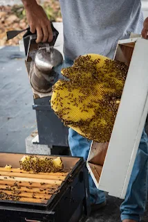 妡蜜養蜂場可朗芙甜品專賣