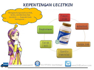 Lecithin Shaklee: Kelebihan dan Kepentingannya