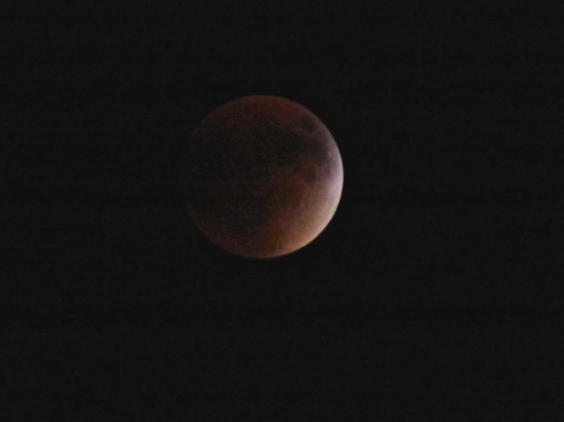 TotalLunarEclipse-6-2015-09-26-20-42.jpg