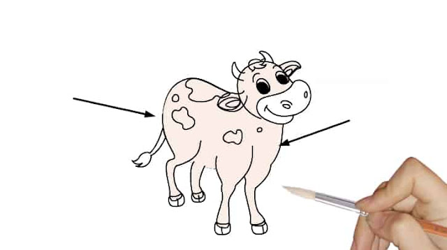 How to Draw a Cow Drawing.