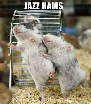 Funny Animal Demotivational Posters Seen On lolpicturegallery.blogspot.com