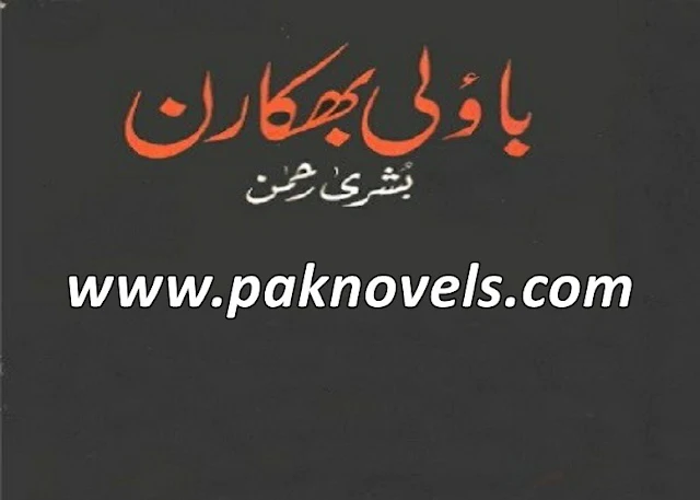 Travelogue Urdu Book By Bushra Rehman