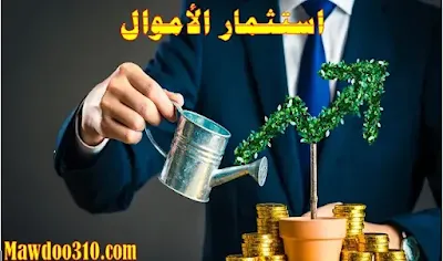 استثمار الاموال