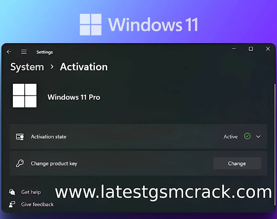 Pro Activator For Windows and Mac (2024)