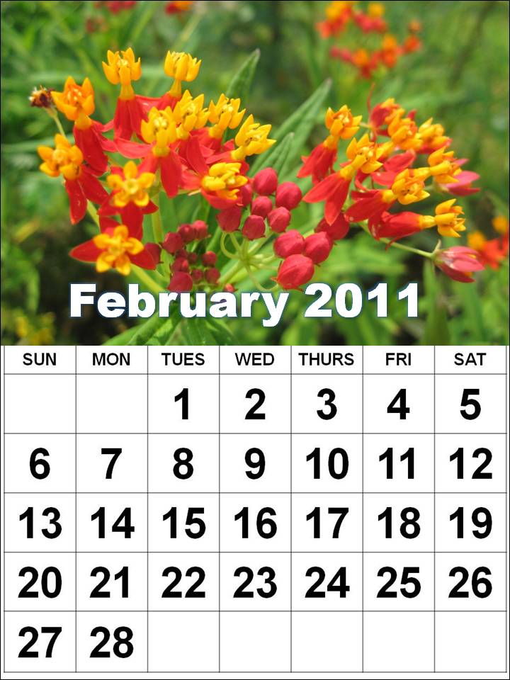 2011 calendar printable free. 2011 calendar printable free.