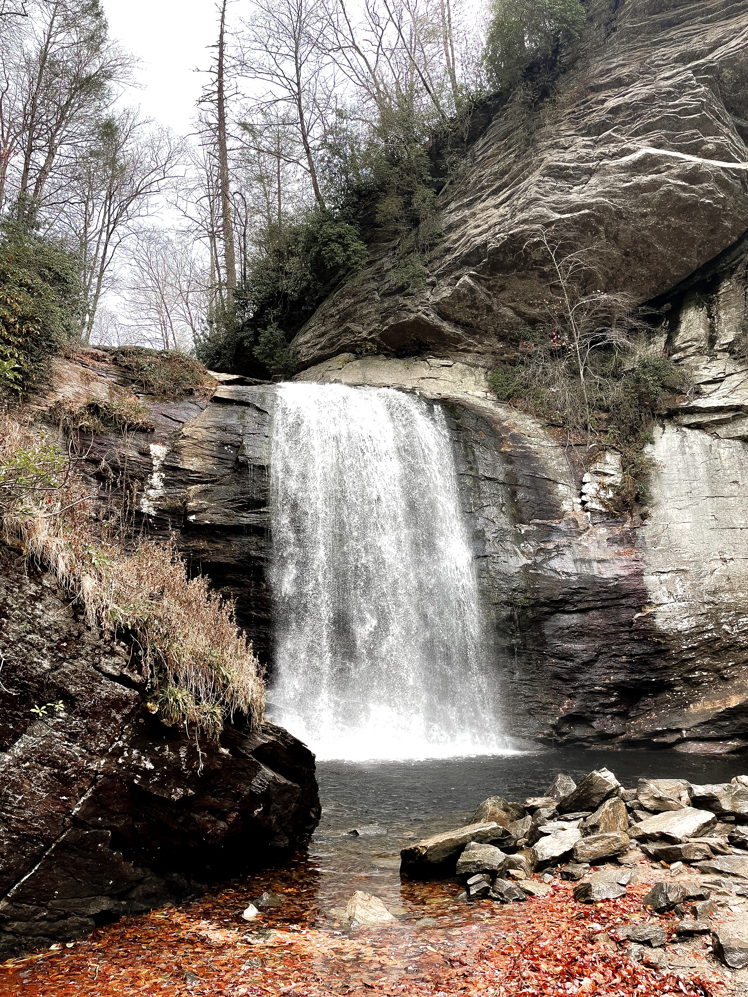 Looking Glass Falls