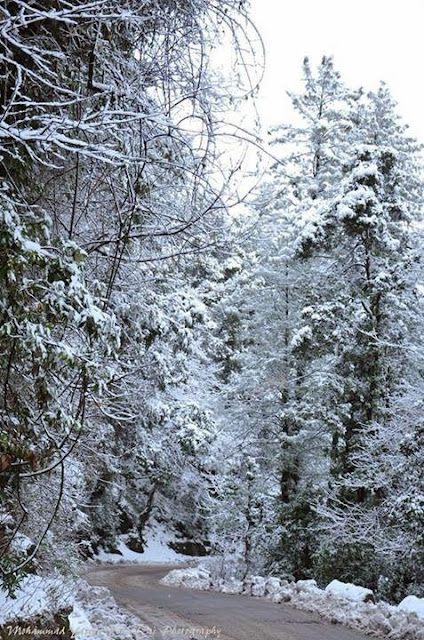 Muree Snow Season