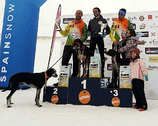 Campeonato España Mushing Nieve