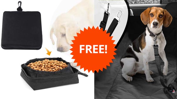 pet-seat-covers-for-cars