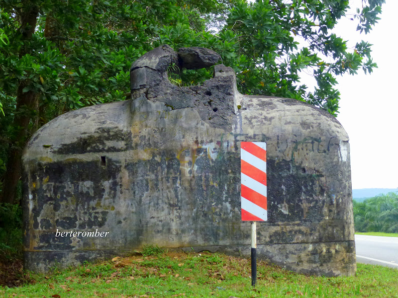 BERTEROMBER: Kubu Jalan Kota Tinggi - Mersing