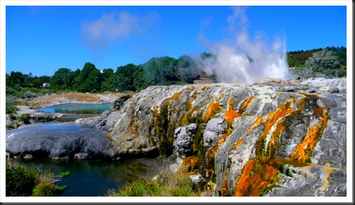 Rotorua (47)