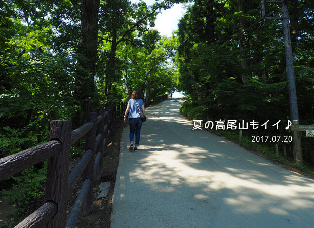 夏の高尾山：参道