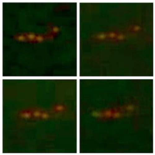 Giant Glowing Ufo Near International Space Station Iss Nov 12 2013