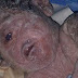 PHOTOS: Strange; Baby born with one eye in Egypt.