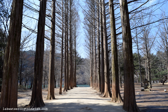 WINTER SONATA AT NAMI ISLAND