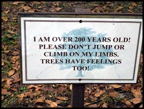 00b- Tree Sign