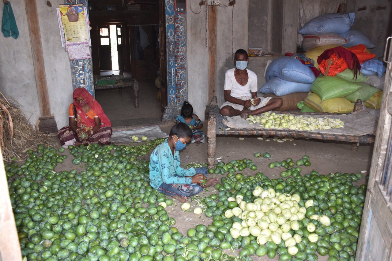 Raw Mango Product Making