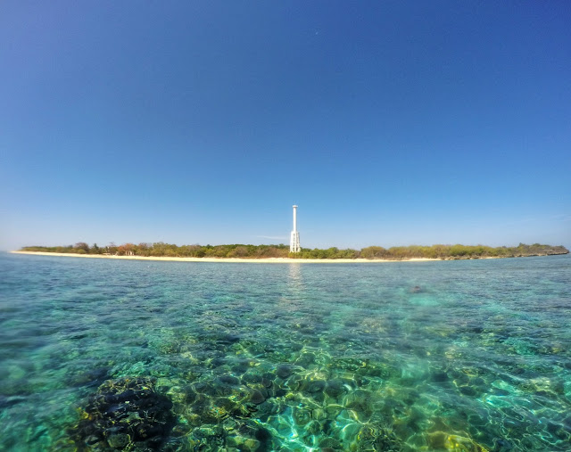 Apo Island Sablayan Occidental Mindoro