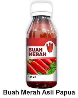 khasiat jual Buah merah asli asal dr papua irian jaya info lengkap