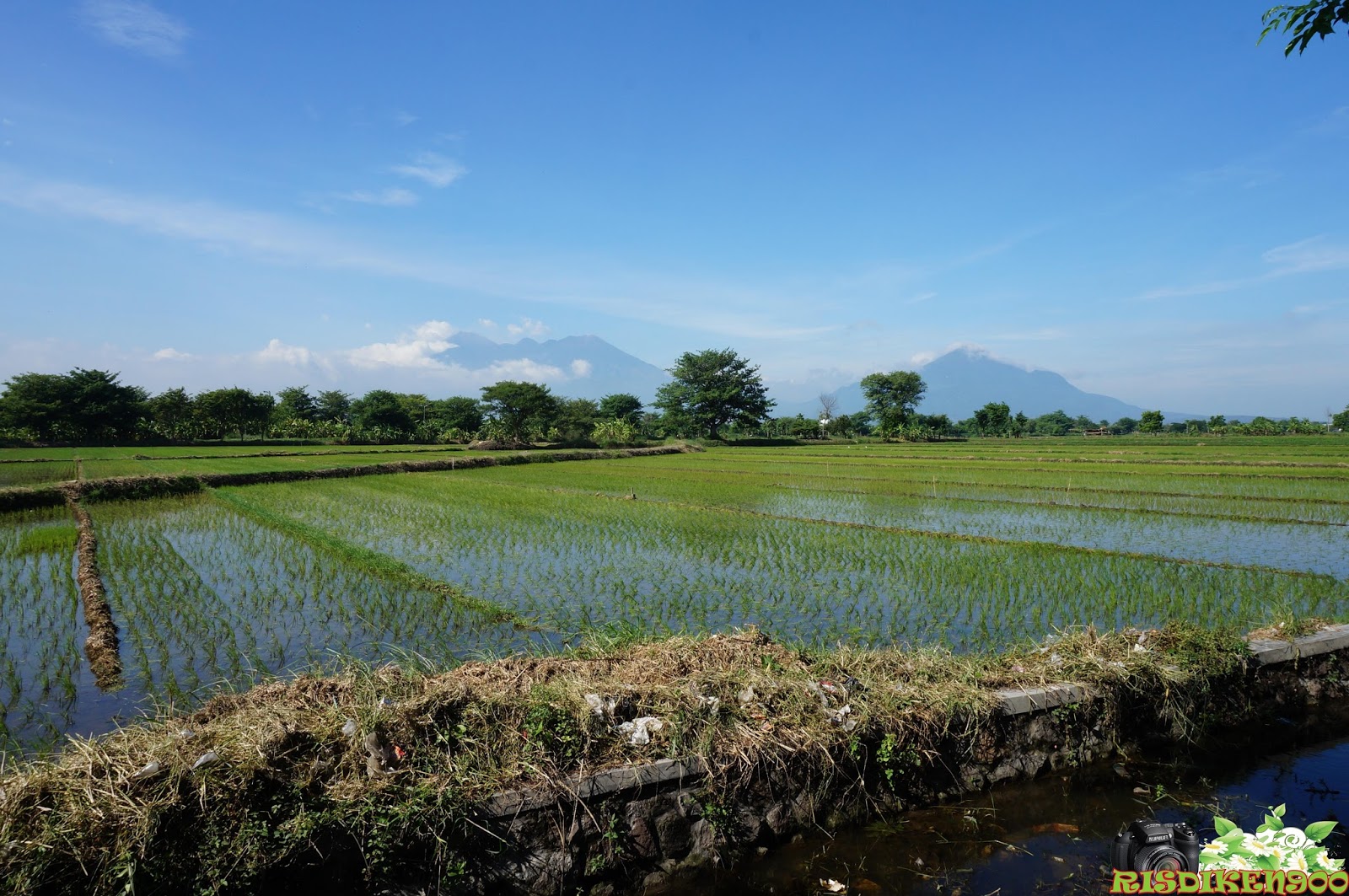 Perjalananku Pemandangan  Gunung Arjuno Welirang dari 