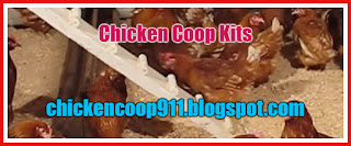 Chicken Coop Kits