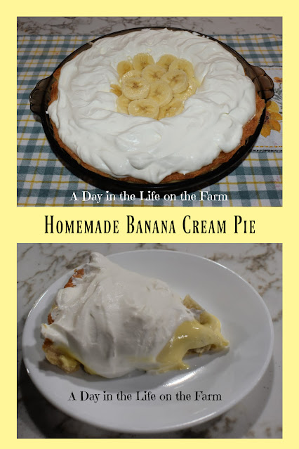 Banana Cream Pie pin