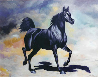 Black Horse Pictures and Wallpapers