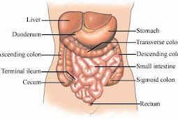 Irritable Bowel Disease