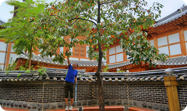 Memakai Baju HANBOK Tradisional Korea Menyusuri Jeonju Hanok Village Keliling Jeonju Hanok Village Memakai HANBOK