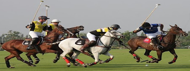 HORSE and BICYCLE POLO MATCH
