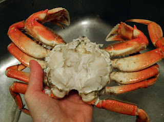 hand holding Whole cleaned crab over sink