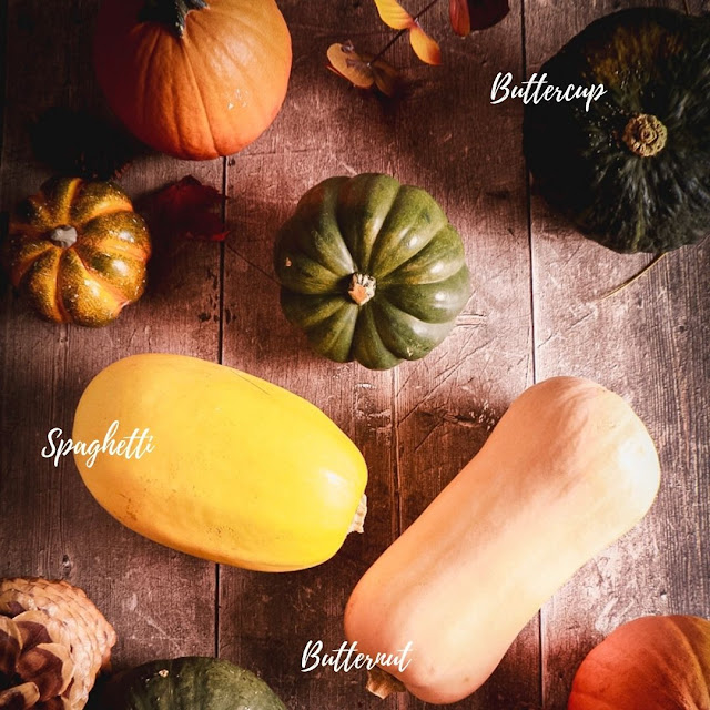 WINTER SQUASH ACORN BUTTERNUT SQUASH ON TABLE