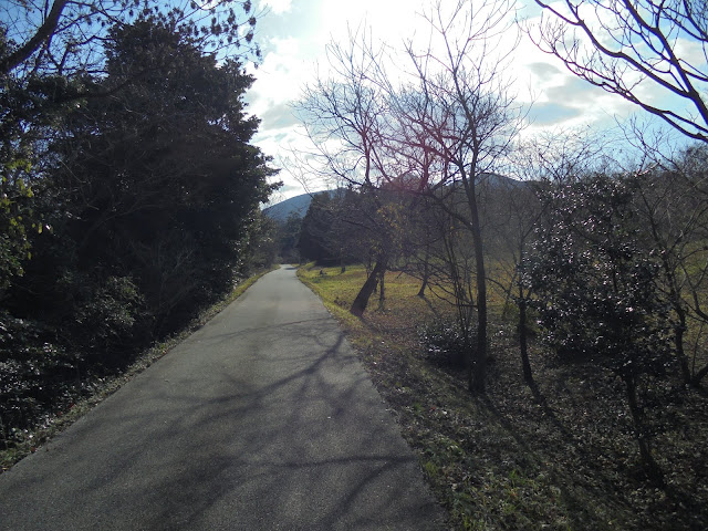 弥生の森の遊歩道