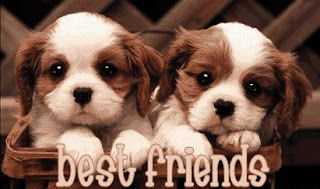 Best Friend Card