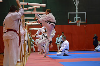 Martial arts black belt doing a high flying jump kick