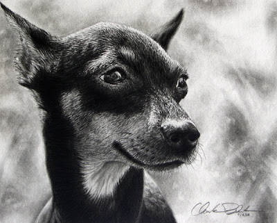 Awesome dog drawings Seen On www.coolpicturegallery.net
