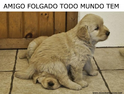 amigo folgado