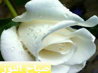 صور صباح الخير,صور عن الصباح,