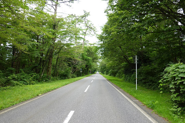 鳥取県道24号米子大山線　鳥取県西伯郡大山町赤松字上槙原