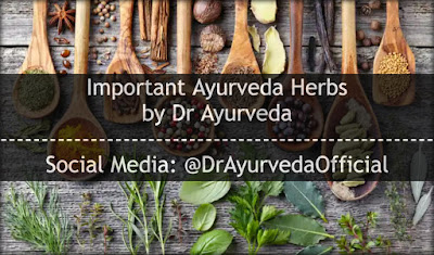 Important herbs in Ayurveda