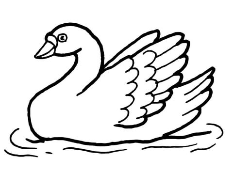 Swan coloring page 