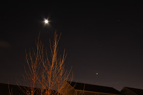 moon and stars with small tree