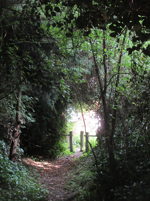 Hollow way, East Farndon