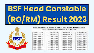 BSF Head Constable RO/RM Result 2023