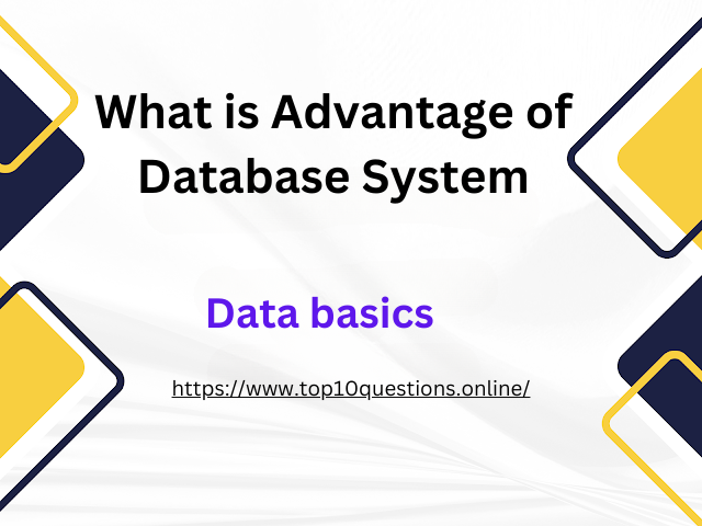 What is Advantage of Database System