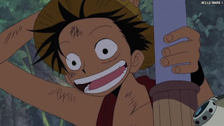 ワンピース アニメ 空島 スカイピア 165話 ルフィ Monkey D. Luffy | ONE PIECE Episode 165 Skypiea