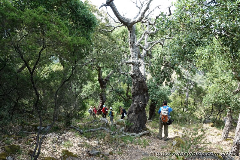 Río de la Miel - Sierra del Bujeo