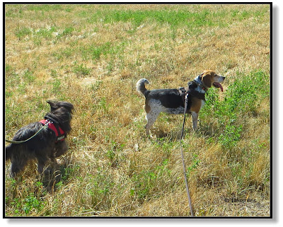 Emma und Lotte