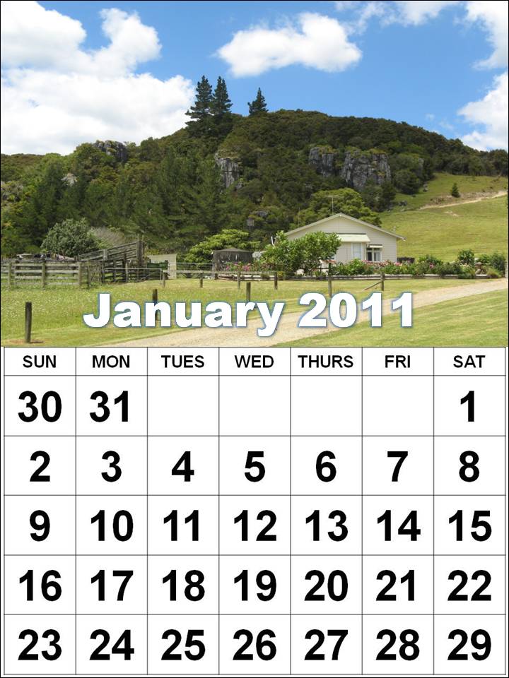 Free Printable January 2011 Calendar with big fonts