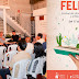 Felisma: empieza el inédito festival que mezcla libros, salud y medioambiente